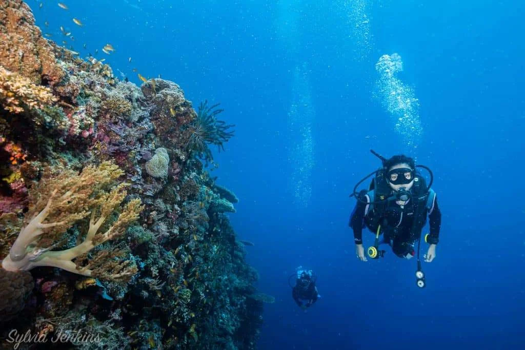 Maripipi Dive Site - Thresher Shark Divers, Malapascua