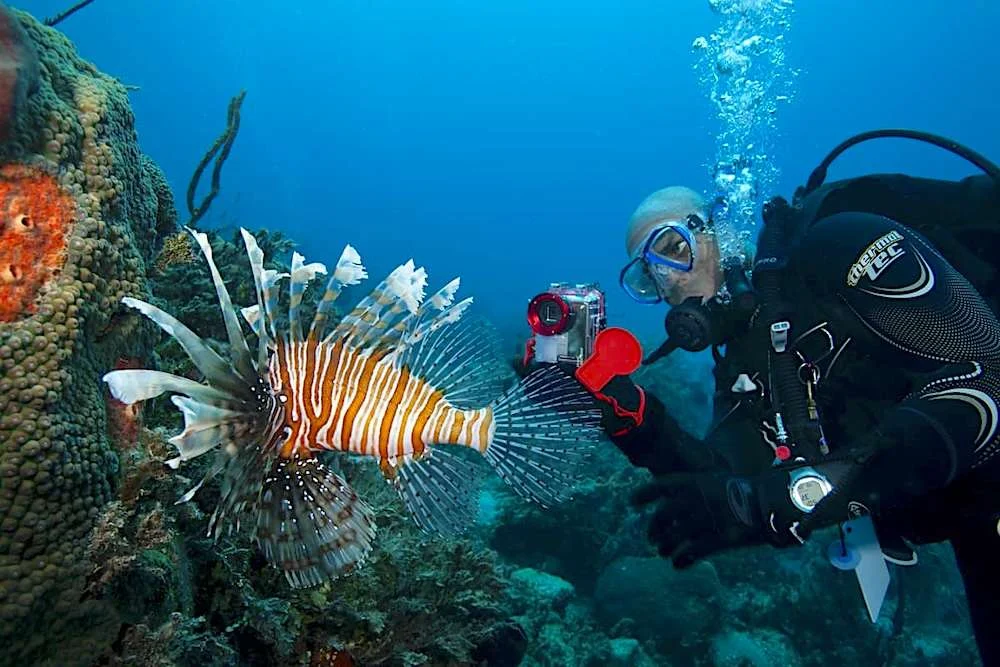 Sambowan Dive Site - Thresher Shark Divers, Malapascua