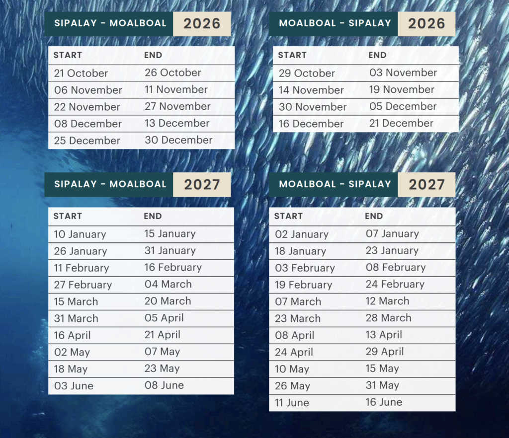 Moalboal Safari Dates 2026-27