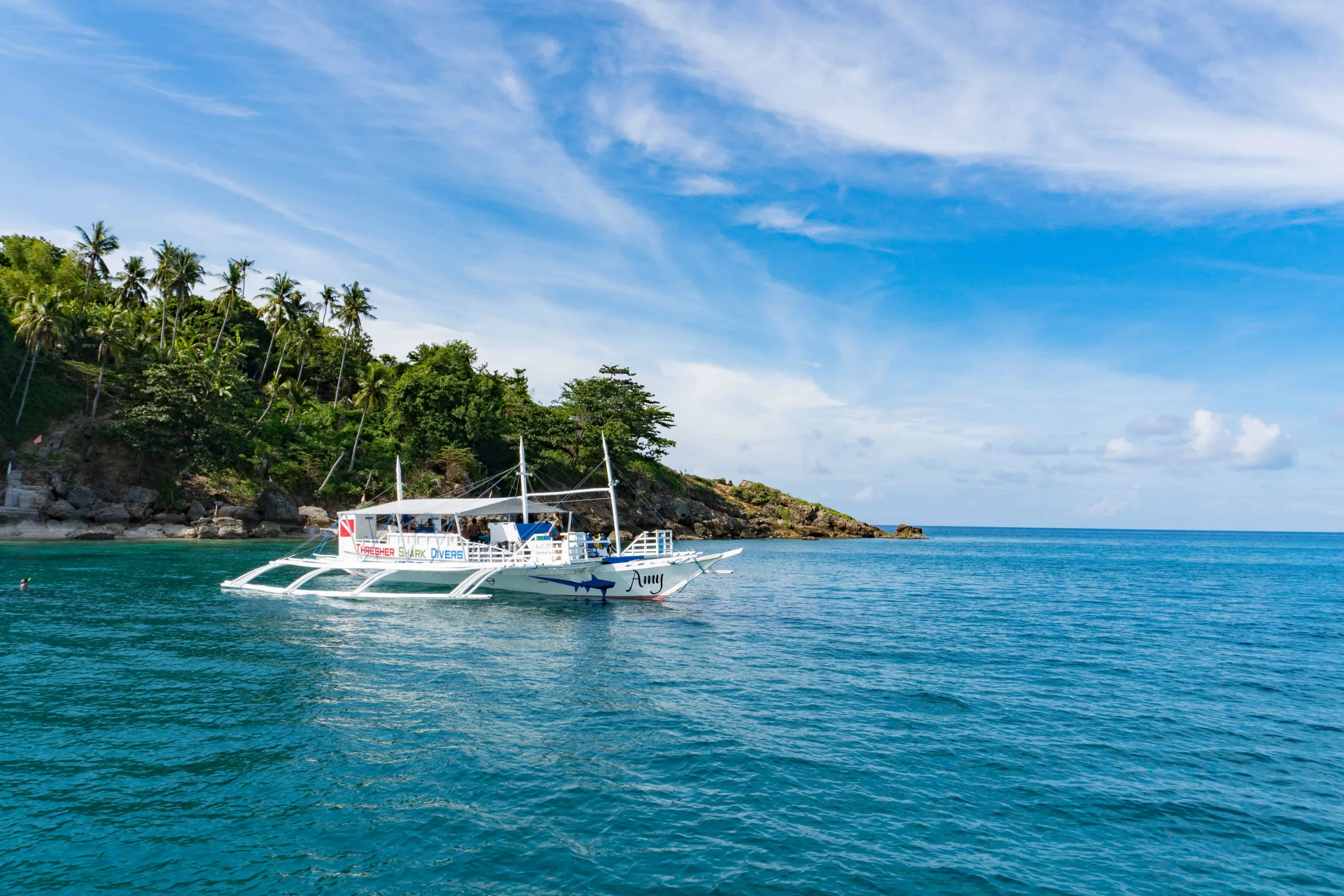 Colourful marine life at Chocolate Island dive site