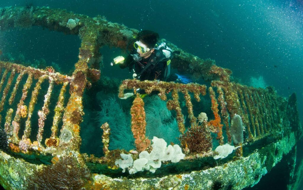Diver on the Doña Marilyn wreck near Malapascua Island