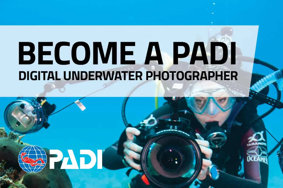 Underwater Photography Course Malapascua