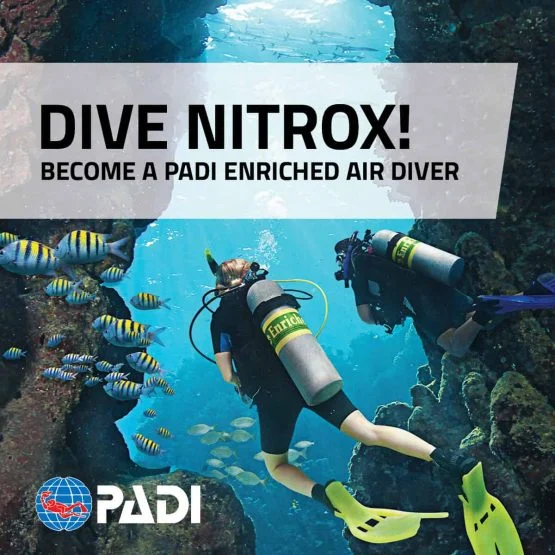 Padi Nitrox Course Malapascua - PADI Enriched Air Nitrox course