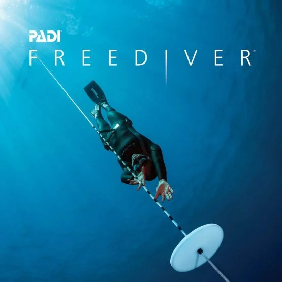 Scuba diver at Malapascua Island