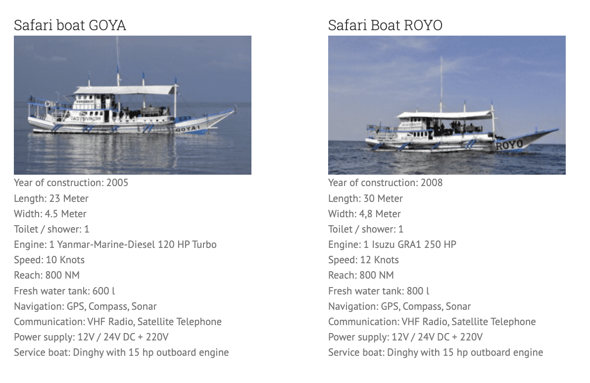 Moalboal safari boats