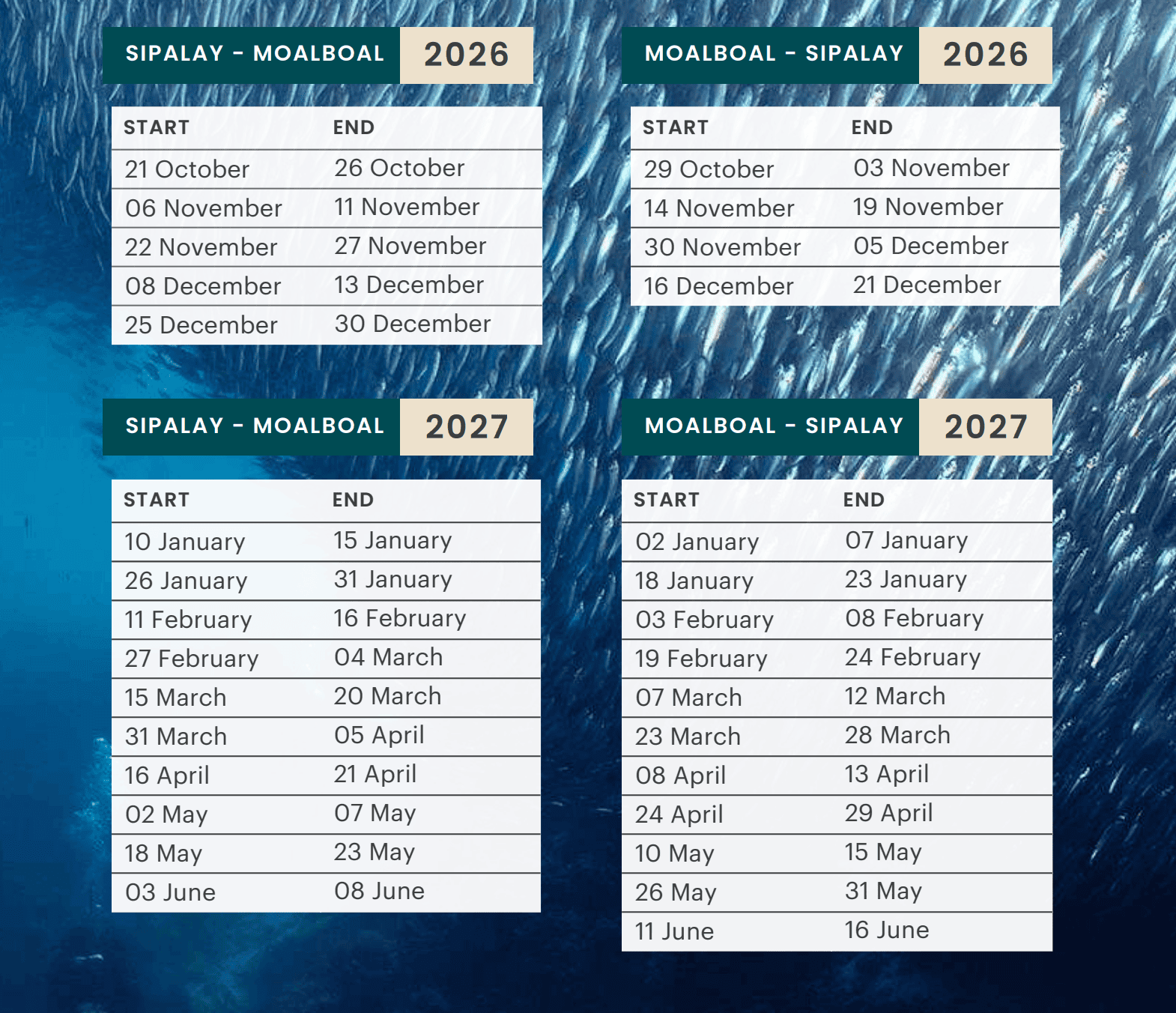 Moalboal Safari Dates 2026-27