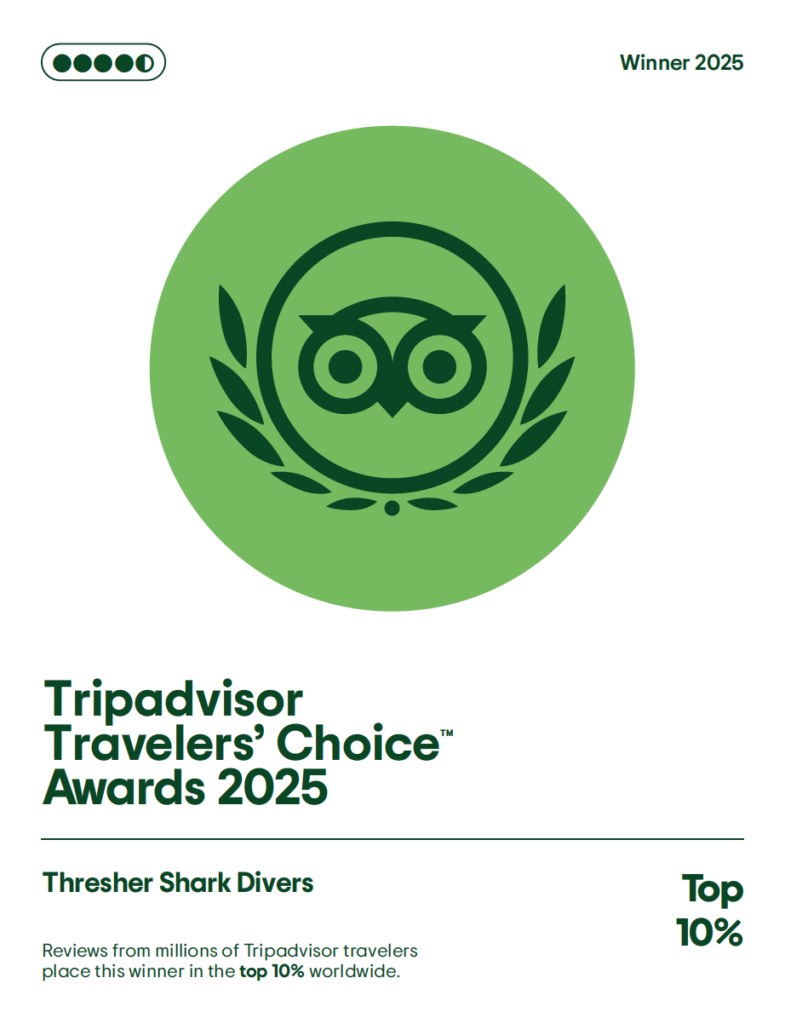 TripAdvisor Award 2025
