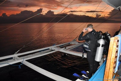 Moalboal safari night dive