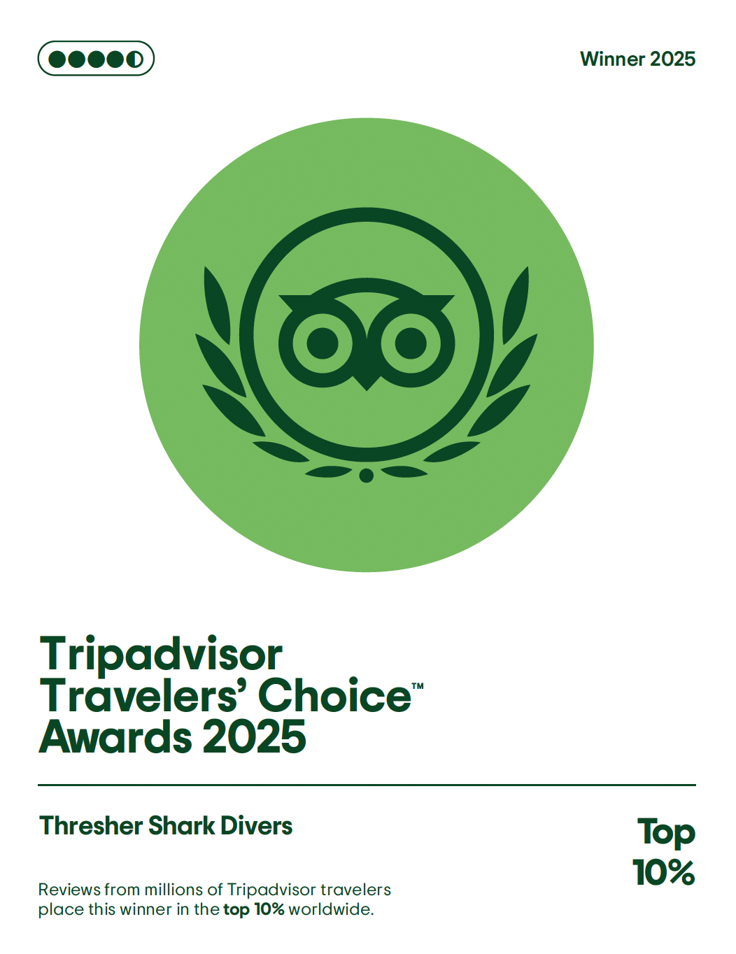 TripAdvisor 2025 Travelers Choice Award