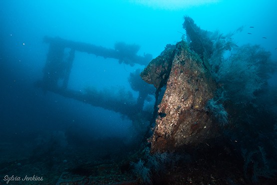 PADI Wreck Diver