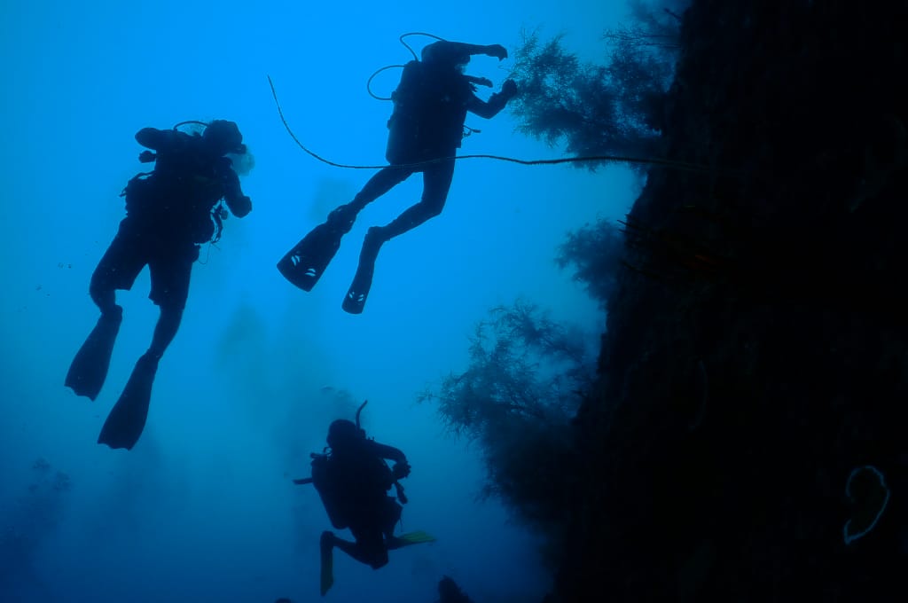 PADI Dive Coures Malapascua Thresher Shark Divers